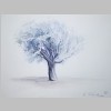 baum_im_schnee.jpg