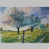 obstwiese.jpg