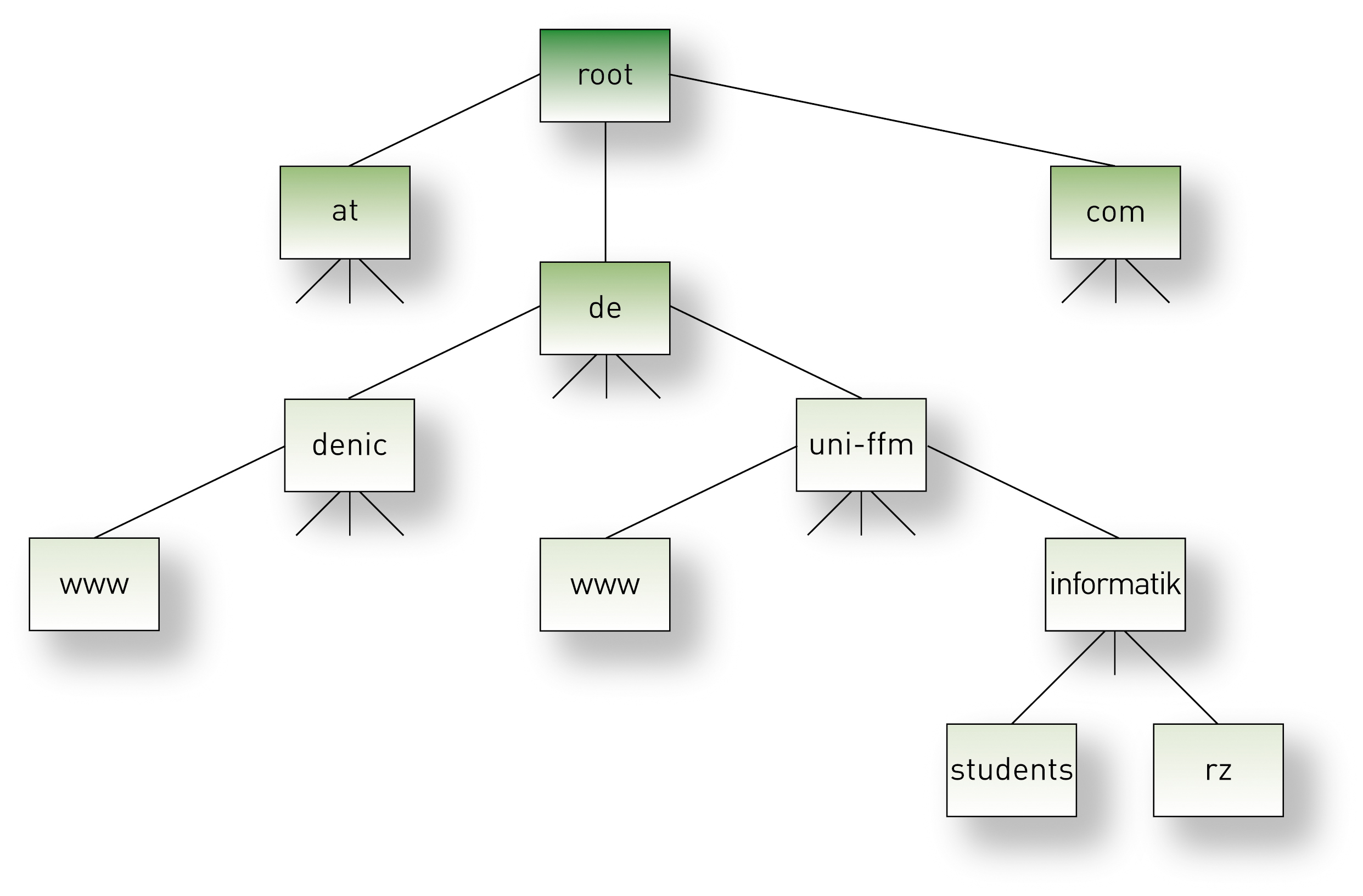 Domain Name Space